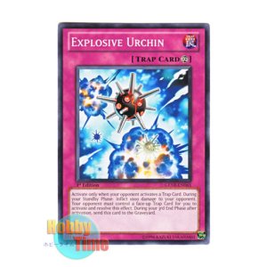 画像: 英語版 GENF-EN065 Explosive Urchin 爆弾ウニ-ボム・アーチン- (ノーマル) 1st Edition