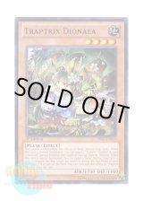 画像: 英語版 PRIO-EN025 Traptrix Dionaea ティオの蟲惑魔 (レア) 1st Edition