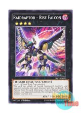 画像: 英語版 SECE-EN050 Raidraptor - Rise Falcon RR－ライズ・ファルコン (ノーマル) 1st Edition