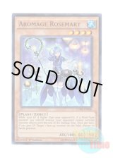画像: 英語版 CORE-EN036 Aromage Rosemary アロマージ－ローズマリー (ウルトラレア) 1st Edition