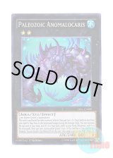 画像: 英語版 TDIL-EN099 Paleozoic Anomalocaris バージェストマ・アノマロカリス (スーパーレア) 1st Edition