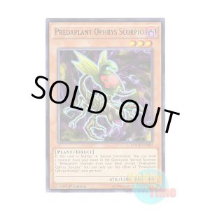 画像: 英語版 MACR-EN009 Predaplant Ophrys Scorpio 捕食植物オフリス・スコーピオ (レア) 1st Edition