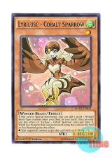 画像: 英語版 MACR-EN012 Lyrilusc - Cobalt Sparrow LL－コバルト・スパロー (ノーマル) 1st Edition