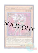 画像: 英語版 COTD-EN007 Trickstar Lycoris トリックスター・マンジュシカ (スーパーレア) 1st Edition