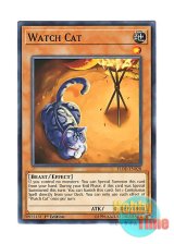 画像: 英語版 FLOD-EN028 Watch Cat 番猫－ウォッチキャット (ノーマル) 1st Edition