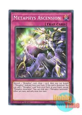 画像: 英語版 CYHO-EN076 Metaphys Ascension メタファイズ・アセンション (ノーマル) 1st Edition