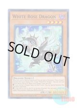 画像: 英語版 SAST-ENSE4 White Rose Dragon ホワイトローズ・ドラゴン (スーパーレア) Limited Edition