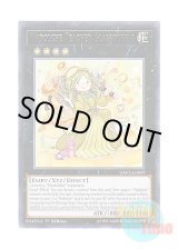 画像: 英語版 DANE-EN039 Madolche Teacher Glassouffle ティーチャーマドルチェ・グラスフレ (レア) 1st Edition