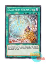 画像: 英語版 DANE-EN060 Guardragon Reincarnation 転臨の守護竜 (ノーマル) 1st Edition
