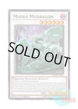 画像: 英語版 DANE-EN081 Muddy Mudragon ドロドロゴン (レア) 1st Edition