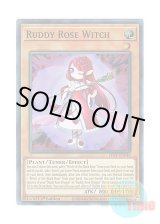 画像: 英語版 LIOV-EN010 Ruddy Rose Witch 紅蓮薔薇の魔女 (スーパーレア) 1st Edition