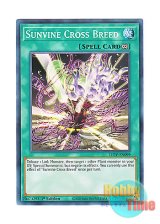 画像: 英語版 LIOV-EN099 Sunvine Cross Breed 聖蔓の交配 (ノーマル) 1st Edition
