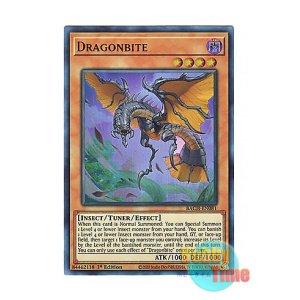 画像: 英語版 BACH-EN081 Dragonbite 竜咬蟲 (ウルトラレア) 1st Edition