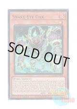 画像: 英語版 AGOV-EN008 Snake-Eye Oak スネークアイ・オーク (スーパーレア) 1st Edition