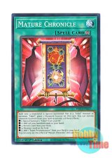 画像: 英語版 PHNI-EN055 Mature Chronicle マチュア・クロニクル (ノーマル) 1st Edition