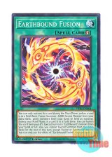 画像: 英語版 PHNI-EN064 Earthbound Fusion 地縛融合 (ノーマル) 1st Edition