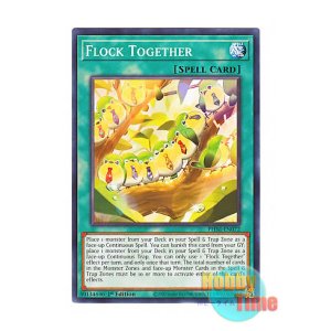 画像: 英語版 PHNI-EN072 Flock Together 目白圧し (ノーマル) 1st Edition