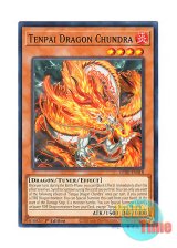 画像: 英語版 LEDE-EN018 Tenpai Dragon Chundra 天盃龍チュンドラ (ノーマル) 1st Edition