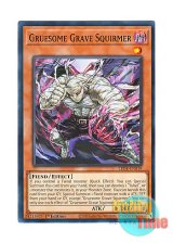 画像: 英語版 LEDE-EN019 Gruesome Grave Squirmer ヘルグレイブ・スクワーマー (ノーマル) 1st Edition