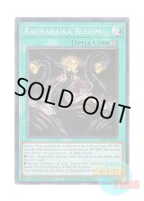 画像: 英語版 LEDE-EN058 Ragnaraika Bloom 蕾禍繚乱狂咲 (シークレットレア) 1st Edition