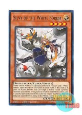 画像: 英語版 INFO-EN015 Silvy of the White Forest 白き森のシルヴィ (ノーマル) 1st Edition