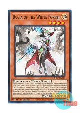 画像: 英語版 INFO-EN016 Rucia of the White Forest 白き森のルシア (ノーマル) 1st Edition