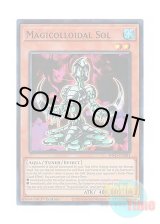 画像: 英語版 INFO-EN081 Magicolloidal Sol 魔溶生物ゾル (スーパーレア) 1st Edition