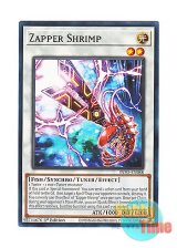 画像: 英語版 INFO-EN088 Zapper Shrimp デンジエビ (ノーマル) 1st Edition