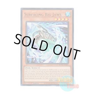 画像: 英語版 ROTA-EN001 Surfacing Big Jaws 浮上するビッグ・ジョーズ (ウルトラレア) 1st Edition