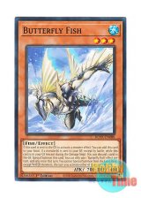 画像: 英語版 ROTA-EN088 Butterfly Fish バタフライ・フィッシュ (ノーマル) 1st Edition