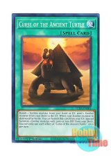 画像: 英語版 SUDA-EN083 Curse of the Ancient Turtle 古代亀の呪い (ノーマル) 1st Edition