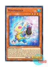 画像: 英語版 SUDA-EN084 Minimalian ミニマリアン (ノーマル) 1st Edition