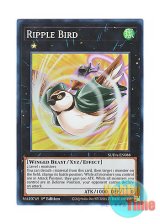 画像: 英語版 SUDA-EN088 Ripple Bird 波紋鳥 (スーパーレア) 1st Edition