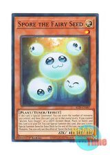 画像: 英語版 ALIN-EN007 Spore the Fairy Seed 妖精胞スポーア (ノーマル) 1st Edition
