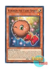 画像: 英語版 ALIN-EN008 Kuribon the Fairy Spirit 妖精霊クリボン (ノーマル) 1st Edition