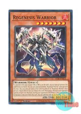 画像: 英語版 ALIN-EN013 Regenesis Warrior 再世の戦神 ベレシート (ノーマル) 1st Edition