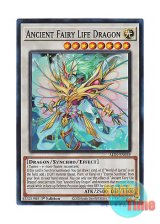 画像: 英語版 ALIN-EN039 Ancient Fairy Life Dragon エンシェント・フェアリー・ライフ・ドラゴン (スーパーレア) 1st Edition