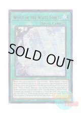 画像: 英語版 ALIN-EN058 Witch of the White Forest 白き森の魔女 (ウルトラレア) 1st Edition