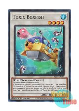画像: 英語版 ALIN-EN085 Toxic Boxfish トックス・ボックス (スーパーレア) 1st Edition