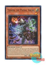 画像: 英語版 DUAD-EN018 Tessera the Primal Squire 源帝従騎テセラ (スーパーレア) 1st Edition