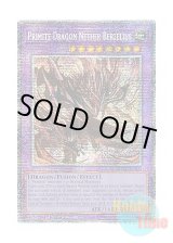 画像: 英語版 DUAD-EN035 Primite Dragon Nether Berzelius 原石竜ネザー・ベルセリウス (スターライトレア) 1st Edition