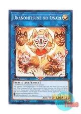 画像: 英語版 DUAD-EN051 Ukanomitsune-no-Onari うかのみつねのおなり (ノーマル) 1st Edition