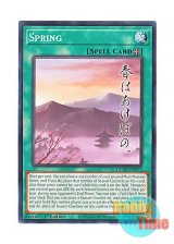 画像: 英語版 DUAD-EN073 Spring 春 (ノーマル) 1st Edition