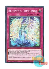 画像: 英語版 DUAD-EN077 Regenesis Commands 再世十戒 (ノーマル) 1st Edition