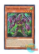 画像: 英語版 DOOD-EN029 Triple-Headed Behemoth ドリ・ドル・ドラ (ノーマル) 1st Edition