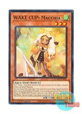 画像: 英語版 DOOD-EN032 WAKE CUP! Macchia WAKE CUP！ マキ (ノーマル) 1st Edition