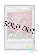 画像: 英語版 DOOD-EN039 Bramble Rose Dragon 黒薔薇の破滅竜 (シークレットレア) 1st Edition
