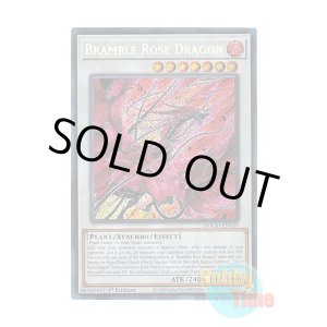 画像: 英語版 DOOD-EN039 Bramble Rose Dragon 黒薔薇の破滅竜 (シークレットレア) 1st Edition