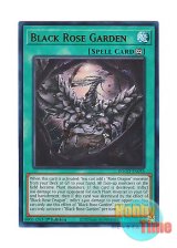 画像: 英語版 DOOD-EN055 Black Rose Garden 黒薔薇の華園 (ウルトラレア) 1st Edition