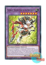 画像: 英語版 DOOD-EN085 Chevreuil, Hunting Scout of the Deep Forest 日本未発売 (ノーマル) 1st Edition